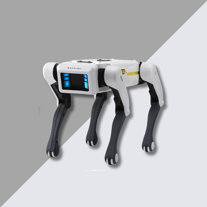 BotBuddy™ Intelligent Robot Dog