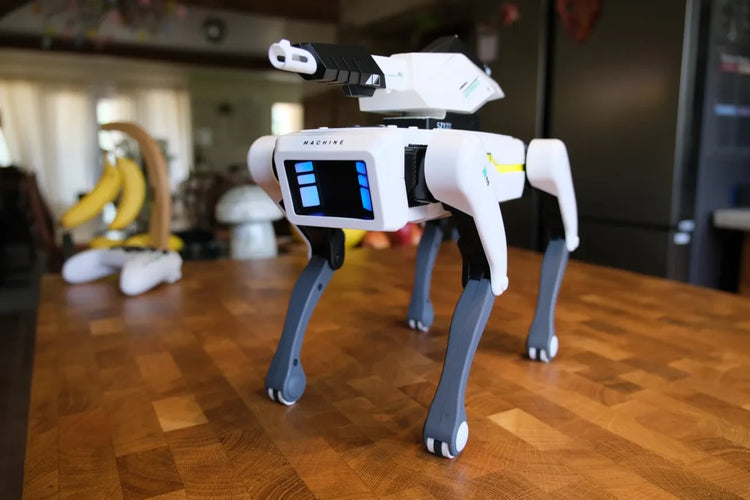 BotBuddy™ Intelligent Robot Dog